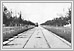  Avenue Broadway regardant à l’ouest. 1900 02-112 Tribune Pictures UofM Special Archives