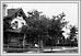  1900 N4560 02-138 Winnipeg-Streets-Broadway Archives of Manitoba