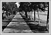 Avenue Broadway regardant à l’est. 1903 02-294 Illustrated Souvenir of Winnipeg 1903 RBR FC 3396.37.M37 UofM Special Archives