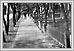  Avenue William regardant à l’ouest. 1903 02-314 Illustrated Souvenir of Winnipeg 1903 RBR FC 3396.37.M37 UofM Special Archives