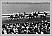  Horseracing Polo Park 1950 04-435 Sport-Horseracing Archives of Manitoba