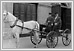  Winnipeg Fire Department Horse and Buggy 1914 N2555 08-067Lewis B. Foote Archives of Manitoba